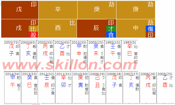 八字 BaZi Four Pillars of Destiny Patt Chee